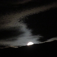 Profilová fotografia