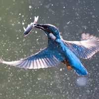 Profilová fotografia