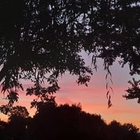 Profilová fotografia
