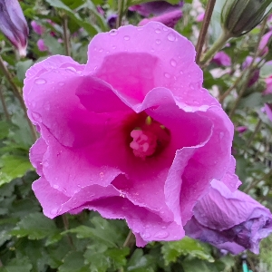 Profilová fotografia