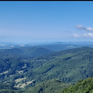 Profilová fotografia
