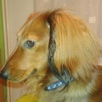Profilová fotografia