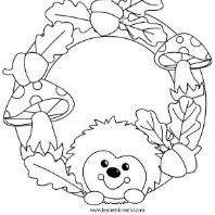 Profilová fotografia