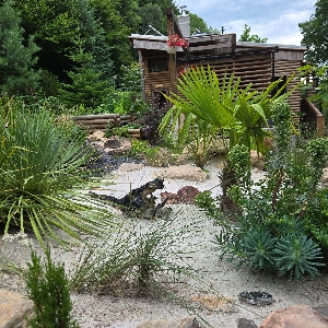 Profilová fotografia